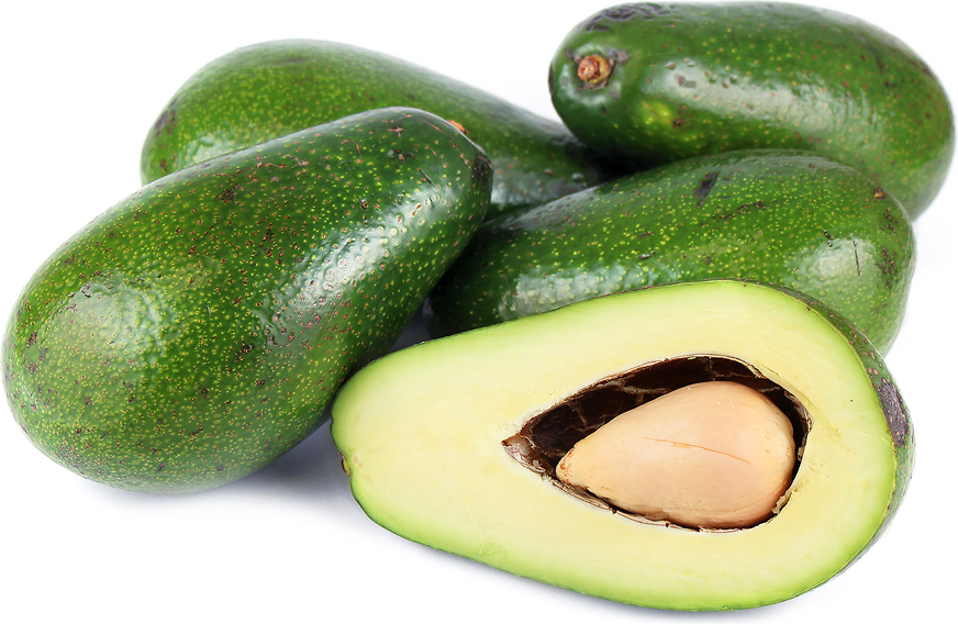 Avocado Ettinger