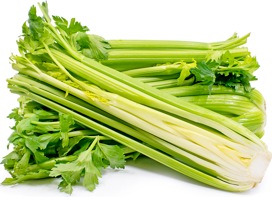 Celery 
