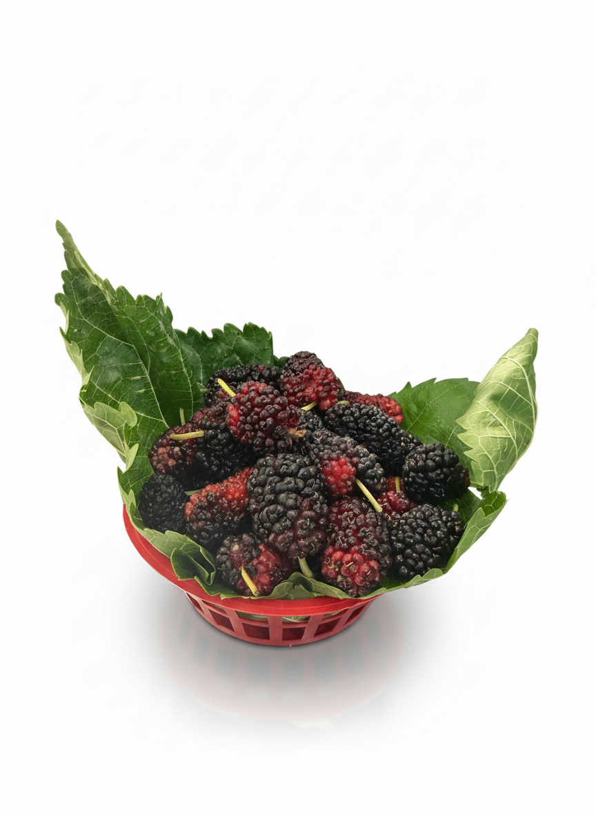 Blackberry Baladi